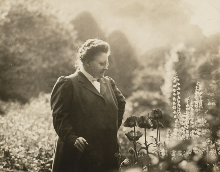 Image for Amy Lowell (1874 – 1925)