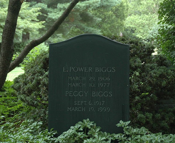 A slate gravestone surrounded by greenery