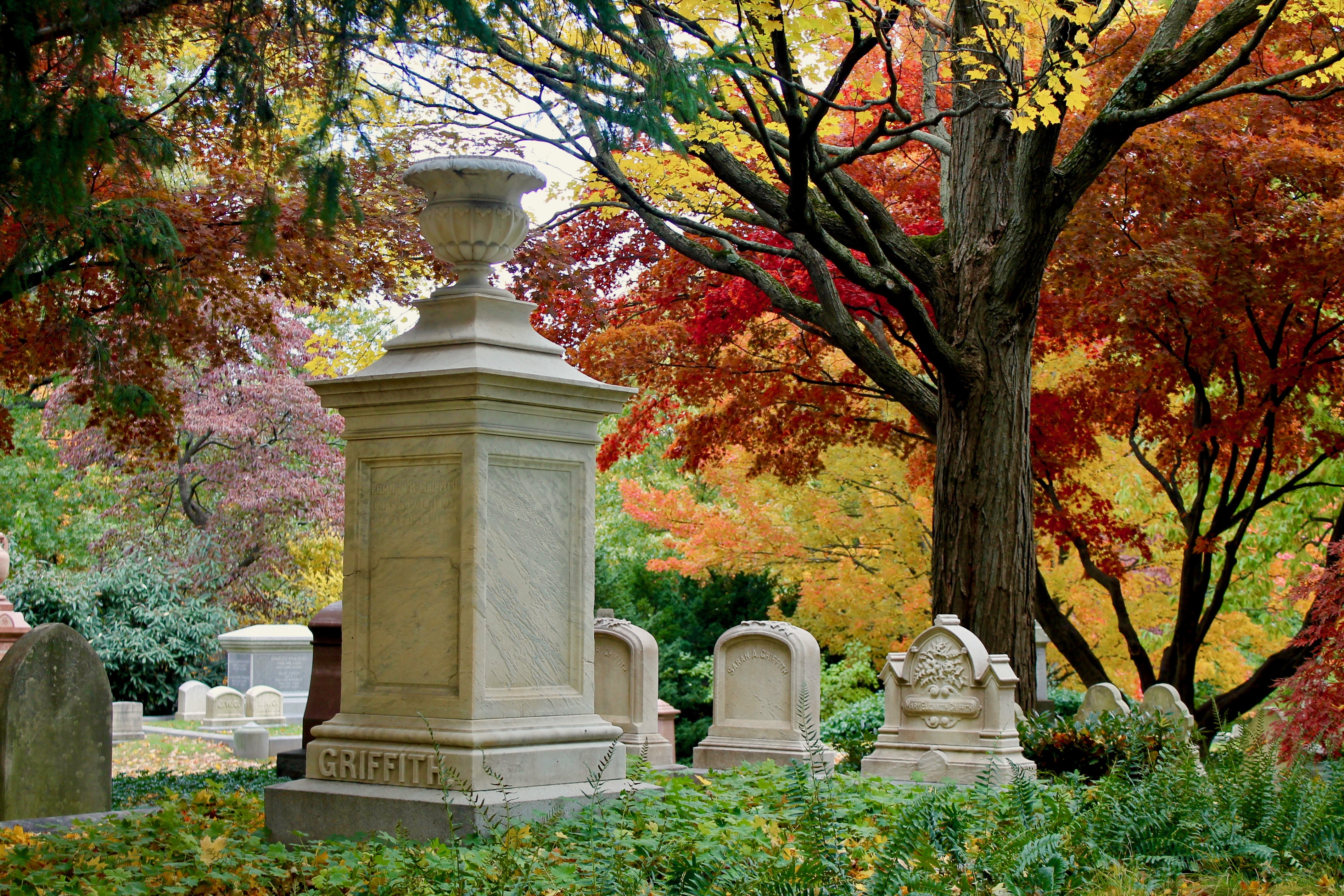 Image for OCTOBER Horticultural Highlights
