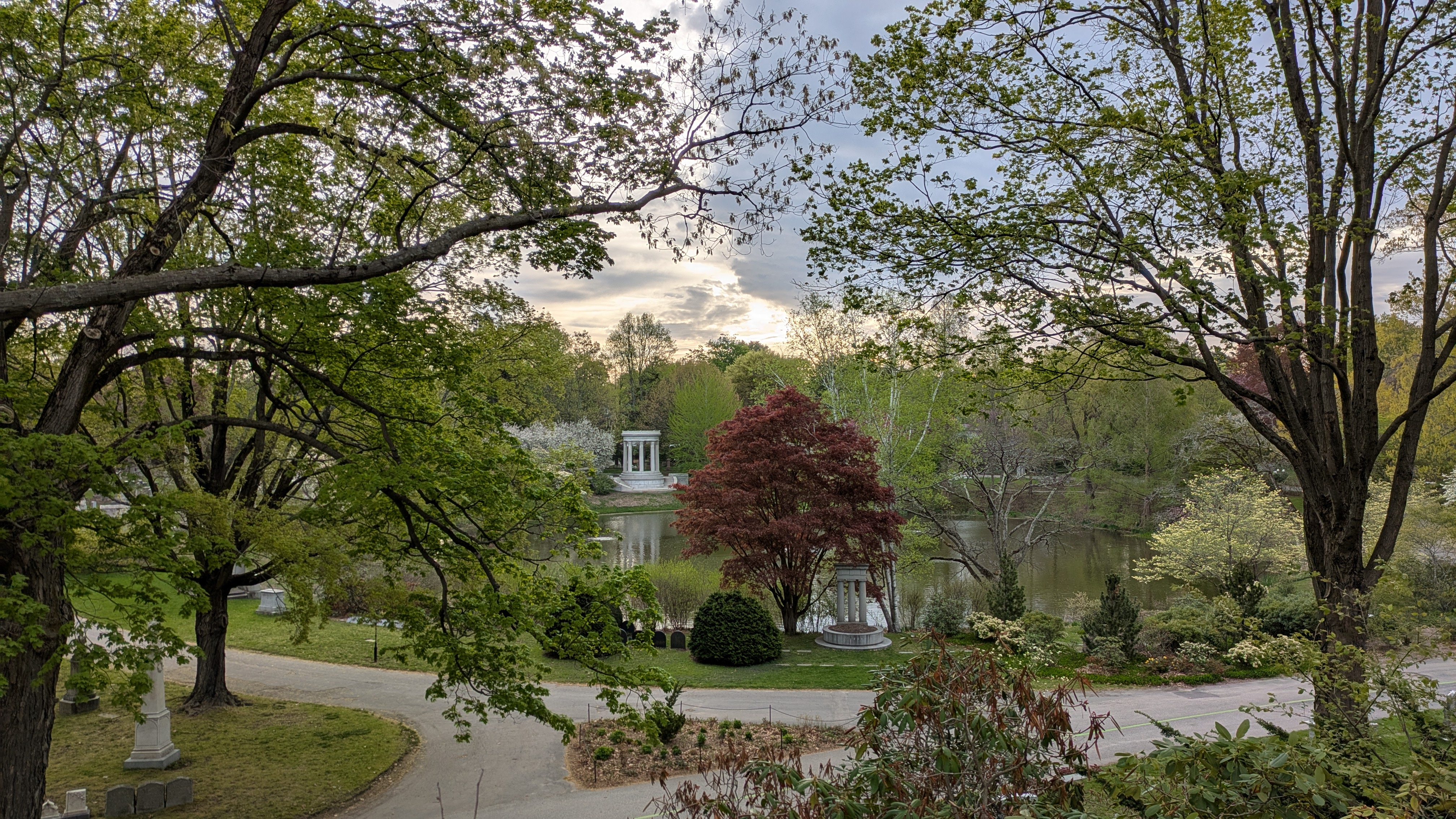 Flora Mount Auburn