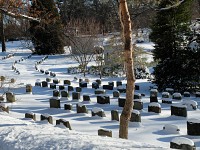 Cemetery reaches 100,000 interments