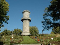 Washington Tower Wildflower Meadow Created