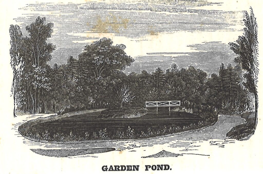 Black and white print of a pond surrounded by trees with a bridge leading to an island in the center of the pond.
