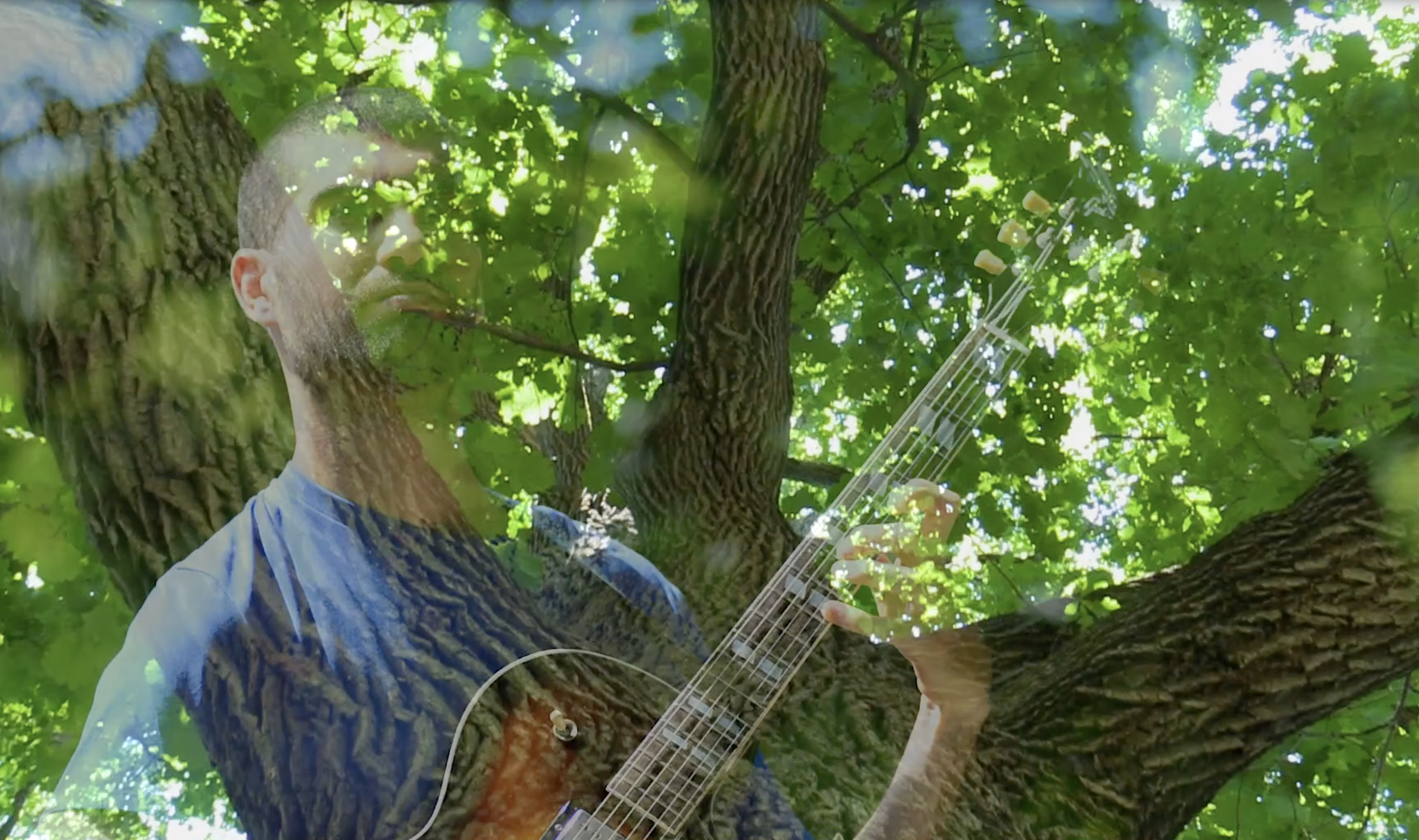 a man with a guitar overlaid over a tree